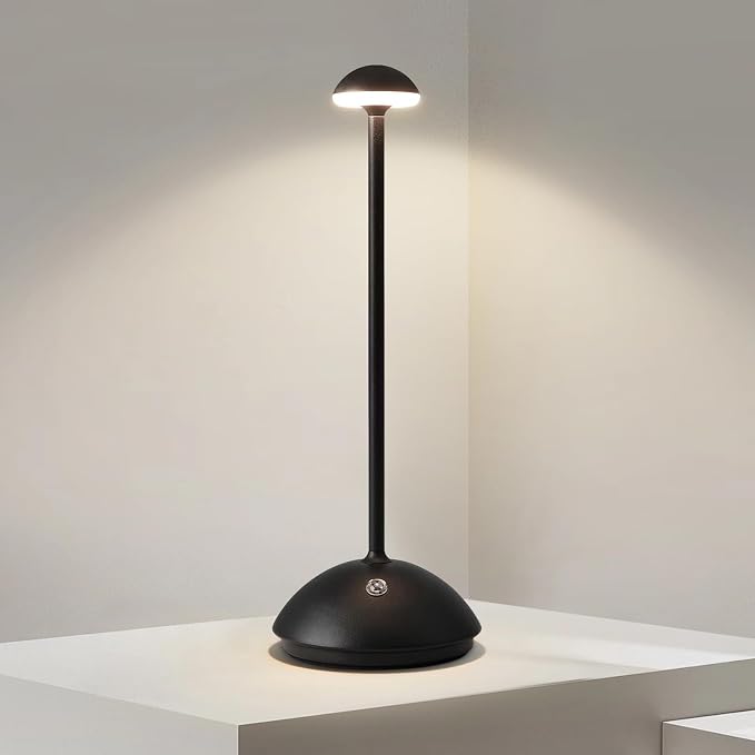Led Cordless Table Lamp With Acrylic Shade